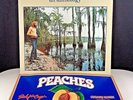 Duane Allman AN ANTHOLOGY, 2xLP & Book, WHITE LABEL PROMO (1972) + Free Bonus