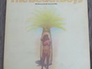 The Beach Boys 