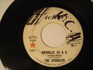 Garage Soul The Sparkles on Hickory - PROMO I want to be free  Hipsville 29 B.C 