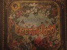 Panic  At the Disco Pretty Odd