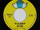 Funk 45 - Big Black - Try My Bugaloo - Thrush - VG+ mp3