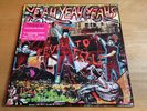 Yeah Yeah Yeahs - Fever To Tell - 2003 Picture Disc LP