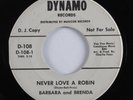 Northern Soul 45 BARBARA & BRENDA Never Love A Robin DYNAMO promo HEAR