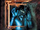CONTROL DENIED - The Fragile Art of Existence DLP (NEW*LIM.BLACK V.*US METAL)