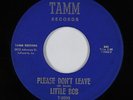 Deep Soul/R&B 45 - Little Bob - Please Don't Leave - Tamm - mp3