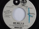 Northern Soul 45 MARVIN GAYE How Sweet It Is TAMLA promo HEAR
