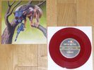 CIRCA SURVIVE - SUNNY DAY REAL ESTATE Split 7