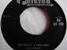 THE FIVE FLEETS   OH WHAT A FEELING ** 1958 Tri FELSTED 45