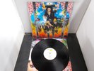 Vinyl Record LP Album STEVE VAI PASSION & WARFARE (26)
