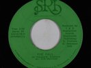 Sweet Soul/Funk 45 - Taack - The Fall - SRI - mp3