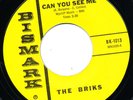THE BRIKS Can You See Me BISMARK Foolish Baby 45 Vinyl BK-1013 GARAGE ROCK Rare