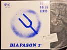 THE GREEN BIRDS - DIAPASON 1° LP - 1974 rare ITALIAN LIBRARY PSYCH UNDERGROUND