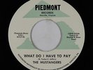 Northern Soul 45 - Mustangers - What Do I Have To Pay - Piedmont - NM mp3