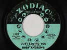 Northern Soul 45 - Ruby Andrews - Just Loving You - Zodiac - mp3