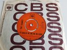 UK CBS 45 The Shames - It Could Be We're In Love / I Was Lonely When 1967