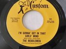 The Reddlemen - I’m Gonna Get In That Girl’s Mind 1966 Texas Garage Punk 45 VG++