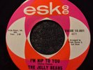 The Jelly Beans I'm Hip To You You Don't Mean Me No NM northern soul 45 HEAR IT