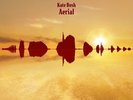 KATE BUSH Aerial VINYL LP NEW & SEALED 2018 REMASTER