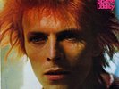David Bowie / Space Oddity / Vinyle/Folk/Folkrock / Rca Victor/Germany