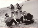 DEER TICK WAR ELEPHANT LP VINYL NEW (US) LIMITED EDITION
