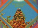 Morgan Delt Self-Titled Debut LP Trouble In Mind OOP Psych Pop Trouble In Mind
