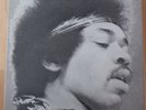Jimi Hendrix (1980) - 12 LP + 1 Maxi Single (Stereo 2625 038), inkl. Booklet