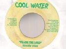 NEEDLE MAN - PRAISE THE LORD / COOL WATER  VG