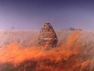 MACCABEES, The - Given To The Wild - Vinyl (trifold 2xLP)