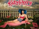 KATY PERRY - ONE OF THE BOYS - VINYL LP - NEW