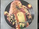 Led Zeppelin Chris Tetley 1988 Fotodisk Interview Picture Disk CT 1004 UK Import
