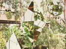 CLEAN BANDIT NEW EYES LP VINYL RECORD JESS GLYNNE +DIGITAL DOWNLOAD
