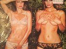 ROXY MUSIC - COUNTRY LIFE LP RECORD VINYL 1974 SD 36-106 ATCO