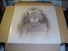 LP:  CURRENT 93 - The Light Is Leaving Us All  NEW SEALED CREAM VINYL UK IMPORT