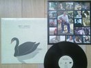 Bert Jansch - THE BLACK SWAN / Drag-City DC-325 - LP 2006 Near MINT 1st Pressing