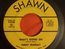 TIMOTHY MCNEALY / WHATS GOING ON on SHAWN very rare soul funk 45
