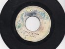 Roots Reggae Dub 45 The Messiahs - Confusion in a Babylon on Moses HEAR