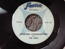 MICHIGAN GARAGE PSYCH-FENTON 2134-THE JADES-PLEASE COME BACK-45-NICE