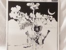 MELLOW CANDLE Swaddling Songs LP Deram SDL 7 -  Reissue  - 99p start