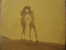 LULI & LUCINHA 1978 “S/T”  Psych Latin Folk MPB RARE  Original LP BRAZIL HEAR