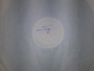 Apollinaires / Higsons Envy the Love Tear the Whole WHITE LABEL PROMO 12