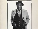 Muddy Waters - Hard Again (LP, Album) Vinyl Schallplatte - 158433
