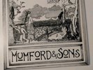 Mumford & Sons Love Your Ground EP 10