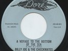HEAR- Rare Surf / Garage Novelty 45- Billy Joe & Checkmates- A Voyage To The Bot