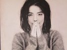 Björk: Debut. Vinyl-LP. One Little Indian, TPLP31, UK 1993