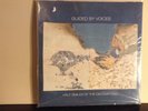 Guided By Voices Half Smiles Of The Decomposed LP Vinyl GBV Robert Pollard