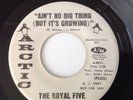 ROYAL FIVE - AIN'T NO BIG THING (BUT IT'S GROWING)/PEACE OF MIND– ARCTIC PROMO