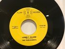 THE PARLIAMENTS/LONELY ISLAND/FLIPP 100  SOUL GROUP..