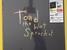 TOAD THE WET SPROCKET BOX.2018 RECORD STORE DAY.#611/1500.NEW.5LPs COLORED VINYL