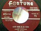 Andre Williams-Going Down To Tiajuana/Pulling Time-Rare R&B 45-Fortune 824-HEAR