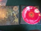 king gizzard and the lizard wizard Murder Of The Universe Flightless Color vinyl